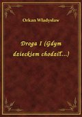 Droga I (Gdym dzieckiem chodził...) - ebook