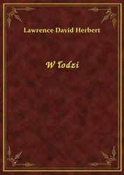 : W łodzi - ebook