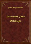 Zaręczyny Jana Bełskiego - ebook