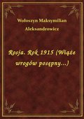 Rosja. Rok 1915 (Wiąże wrogów posępny...) - ebook