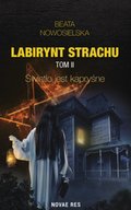 Kryminał, sensacja, thriller: Labirynt strachu. Tom II. Światło jest kapryśne - ebook